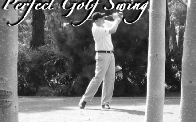 The Perfect Golf Swing